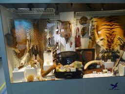 Tiergarten Schönbrunn am 15.05.2025